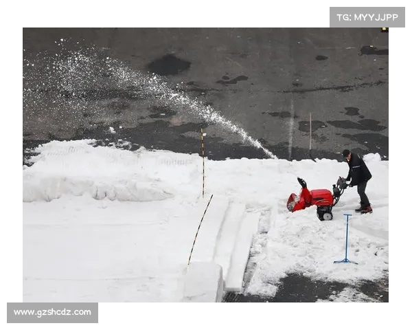 雪车世界杯赛事最新动态速览赛场内外精彩瞬间频现运动员奋勇拼搏感人至深赛事安全保障全面升级观众互动环节丰富